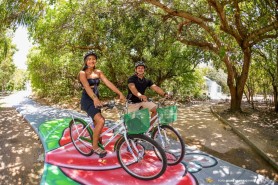 Bosque dos Papagaios disponibiliza bicicletas para passeio nas trilhas e incentivo à vida saudável