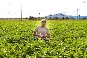O FUTURO DO CAMPO - Políticas públicas de Boa Vista incentivam jovens agricultores ao crescimento e desenvolvimento rural