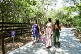 Bosque dos Papagaios reabre ao público após reforma