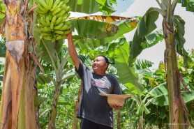 Prefeitura garante segurança alimentar nas comunidades indígenas de Boa Vista