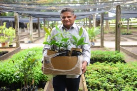 Projeto “Boa Vista Verde” incentiva doação de sementes para ampliar arborização e qualidade de vida na cidade