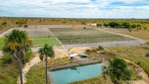 Irrigação com uso de energia solar reduz custo operacional e amplia capacidade de produção em comunidades indígenas de Boa Vista