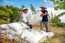 Prefeitura distribui 2.350 sacas de composto orgânico para as comunidades indígenas