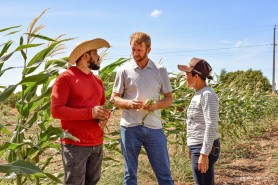 Com assistência técnica e apoio ao desenvolvimento rural, Prefeitura de Boa Vista impulsiona agricultura familiar