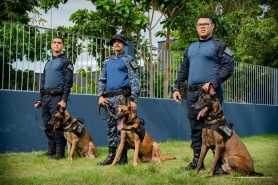 Prefeitura abre credenciamento para serviços médico-veterinários do canil da Guarda Civil Municipal