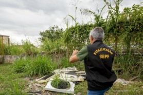EL NIÑO - Prefeitura reforça importância de limpeza em terrenos baldios durante período intenso de estiagem