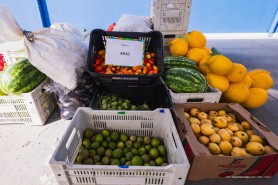 Prefeitura inicia entrega de 76 toneladas de alimentos do PAA, beneficiando agricultores e instituições sociais