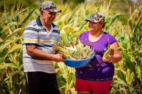 EL NIÑO - Irrigação fotovoltaica contribui para produção na zona rural de Boa Vista