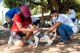 ANTIRRÁBICA - Primeiro dia de campanha é movimentado, com vacinação de cães e gatos em vários pontos da cidade