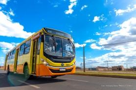 1º DE OUTUBRO - Prefeitura disponibiliza ônibus gratuito para as eleições dos Conselheiros Tutelares em Boa Vista