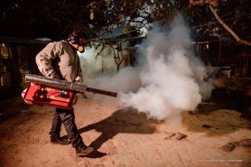 Dia Mundial das Zoonoses - Prefeitura reforça ações de combate em Boa Vista