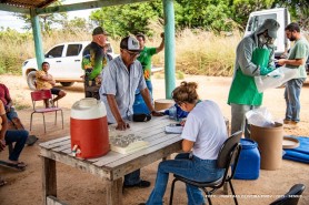 DESCARTE CONSCIENTE - Boa Vista intensifica recolhimento de embalagens de defensivos agrícolas na zona rural