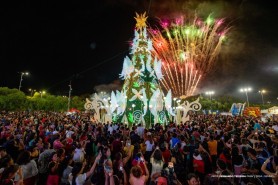 Boa Vista ganha brilho especial com acendimento das Árvores de Natal gigantes