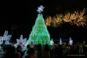 Árvores de Natal do Centro e Pintolândia encantam público em primeira noite de programação