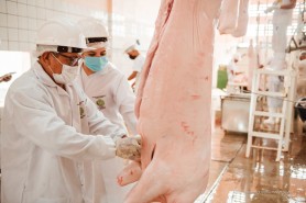 Prefeitura lança campanha contra o abate clandestino de animais de pequeno porte