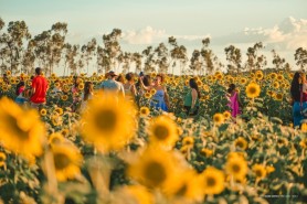 AGROBV 2026 - Com estrutura ampla, evento fortalece o desenvolvimento do agronegócio em Roraima
