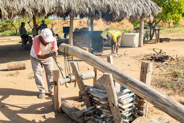 Gestão e planejamento transformaram a agricultura familiar em Boa Vista