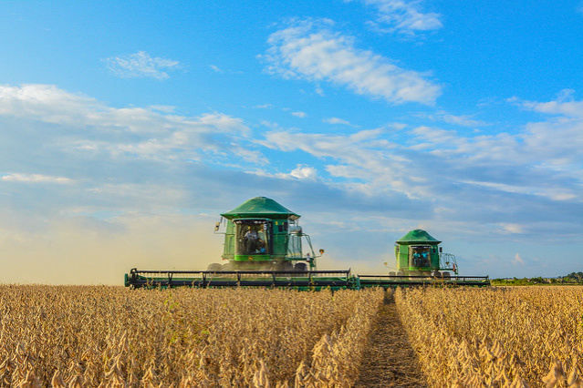 Soja - Agricultores ampliam área de plantio e estimam colher em média 55 sacas por hectare nesta safra