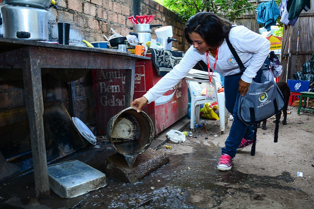 Boa Vista é uma das cinco capitais com baixo risco de infestação do Aedes aegypti