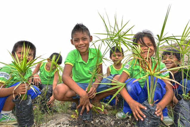 Moradores da Comunidade Indígena Serra do Truaru fazem plantio de árvores nativas para reflorestar áreas degradadas