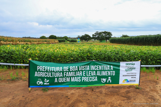 Agronegócio  - Agricultores visitam campos experimentais desenvolvidos pela Prefeitura de Boa Vista