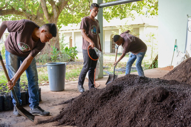 Projeto Crescer  - Jovens fabricam adubos orgânicos e utilizam no cultivo de mudas de plantas