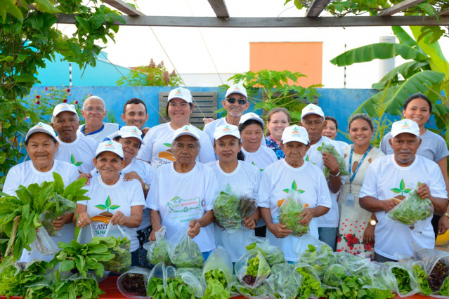 Horta proporciona qualidade de vida à comunidade do bairro Cidade Satélite