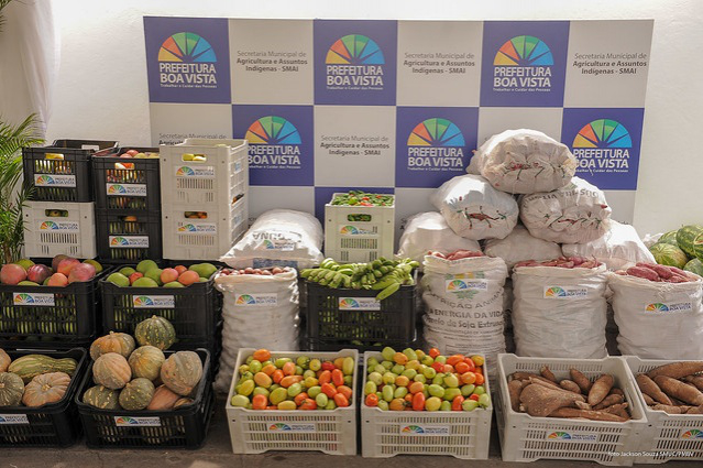 Agricultura - Programa já entregou mais de 190 toneladas de alimentos em seis meses