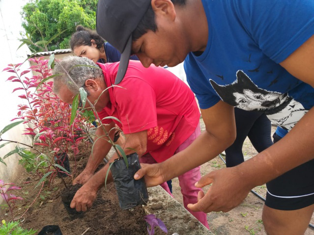 CAPS II - Através de oficina de compostagem, usuários de centro psicossocial de Boa Vista buscam melhor saúde mental e qualidade de vida