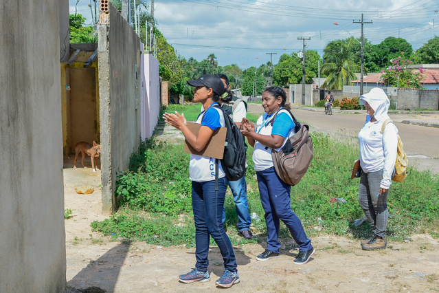 Aedes aegypti - Mobilização de combate ao mosquito começou nesta quarta-feira em Boa Vista