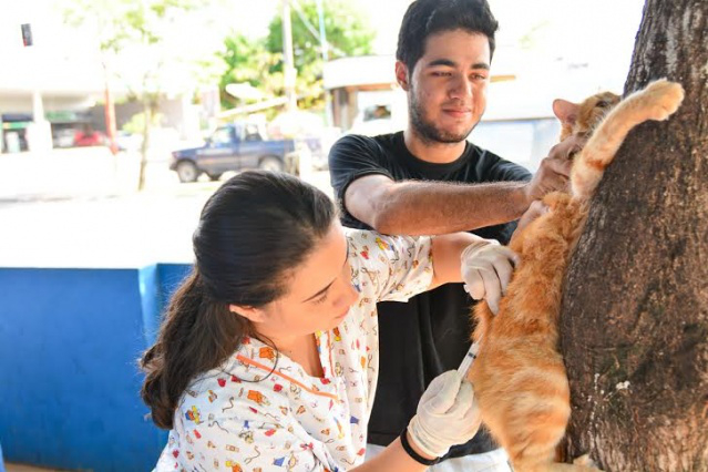 Campanha de vacinação contra a raiva registra número recorde de atendimentos 
