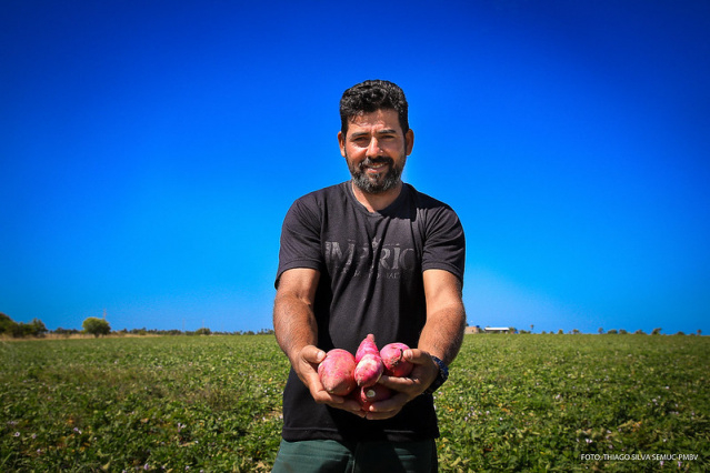 Taxista troca cidade pelo campo, investe no plantio de batata-doce e dobra a produção com apoio da Prefeitura de Boa Vista