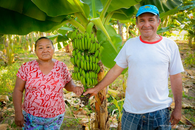 Conheça o bananabol, uma versão alternativa e maluca para o