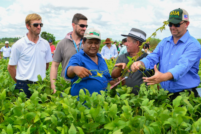 Soja:  Dia de campo expõe possibilidades de fortalecimento do agronegócio em Boa Vista  
