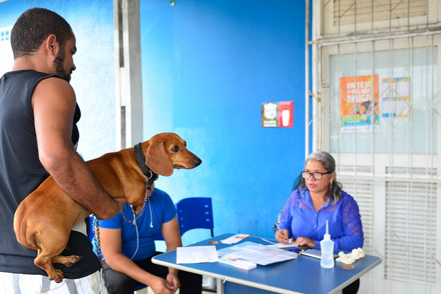 Prefeitura vacina cães e gatos em mais bairros da zona oeste da cidade neste sábado   