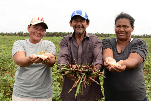 Agricultores boa-vistenses comemoram recorde na colheita de feijão