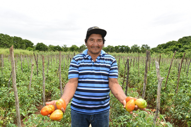 Agricultores das comunidades indígenas de Boa Vista contam com a assistência da prefeitura para aumentar a produção