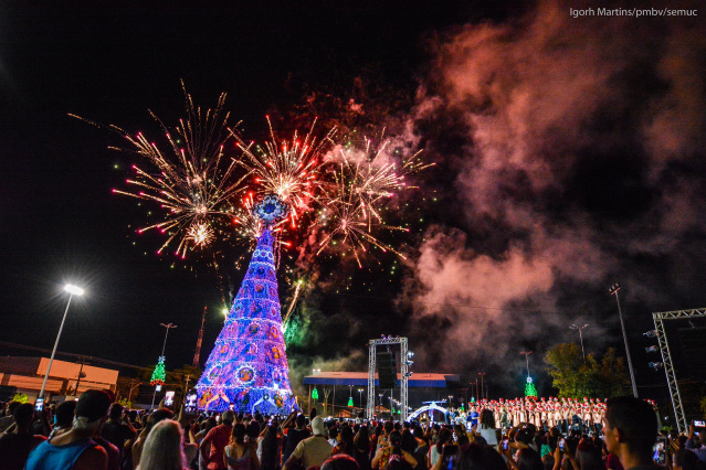 Árvores de Natal - Prefeita Teresa comanda cerimônia de acendimento dos maiores símbolos natalinos de Boa Vista   