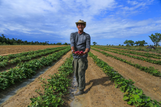 AgroFestBV celebrará boa fase da agricultura familiar em Boa Vista