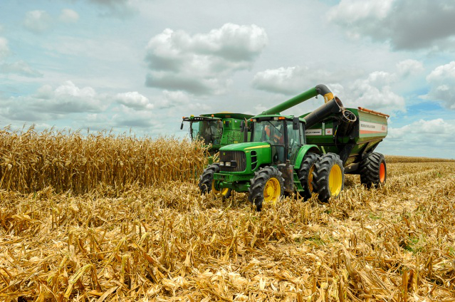 Dia da Agricultura - Investimentos da Prefeitura de Boa Vista beneficiam agricultores e melhoram a economia do município