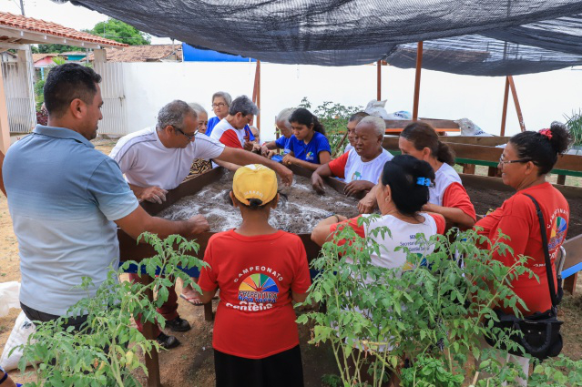 Hortas Comunitárias - Idosos do Cabelos de Prata aprendem técnicas sustentáveis de plantio