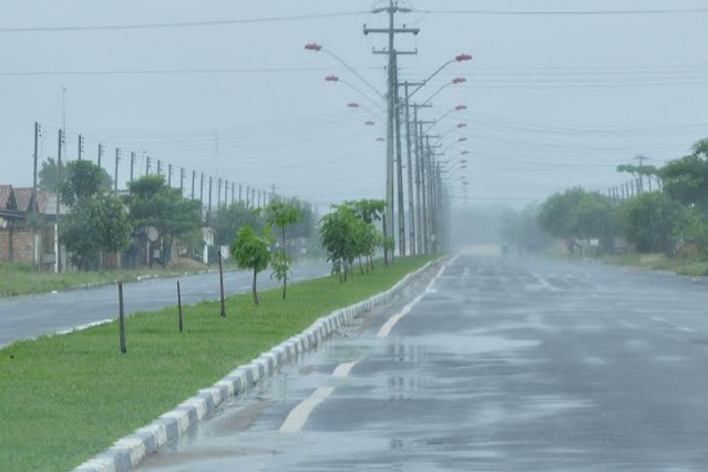  Árvores de espaços públicos de Boa Vista são alvos de vândalos   