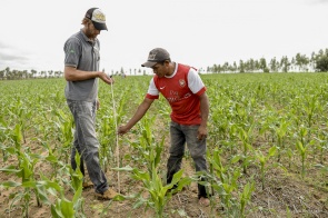 Convite -  Prefeita entrega Prêmio PMDA Produtividade nesta terça-feira