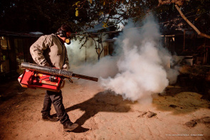 Ações de combate ao mosquito da malária são intensificadas em pontos estratégicos da capital