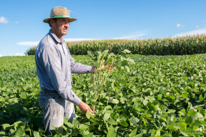 Prefeitura promove campanha com ação itinerante para coleta de embalagens de defensivos agrícolas