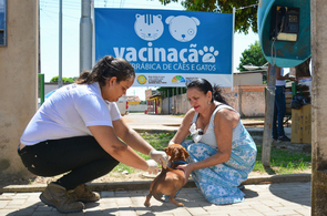 Saúde - Campanha antirrábica encerra com mais de 33 mil animais vacinados em Boa Vista