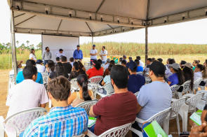 Dia de Campo apresenta silagem do sorgo a agricultores, estudantes e técnicos de Boa Vista