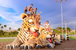 Selvinha Amazônica - Saiba onde encontrar um animal da fauna roraimense em Boa Vista