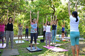 Música, poesia e sustentabilidade marcam primeira edição do Dia Verde no Bosque dos Papagaios
