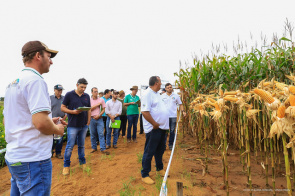 Agronegócio  - Agricultores visitam campos experimentais desenvolvidos pela Prefeitura de Boa Vista